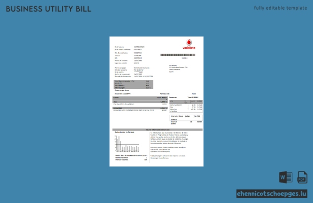 Beispielrechnung für Vodafone-Telekommunikationsdienstleistungen (Geschäftskunden)